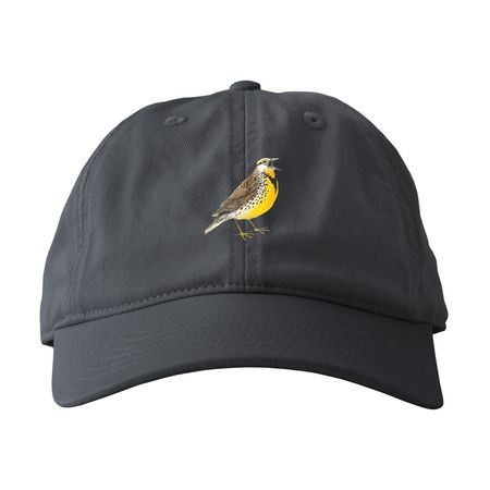 Meadowlark, a Charcoal Printed Eco Baseball Cap