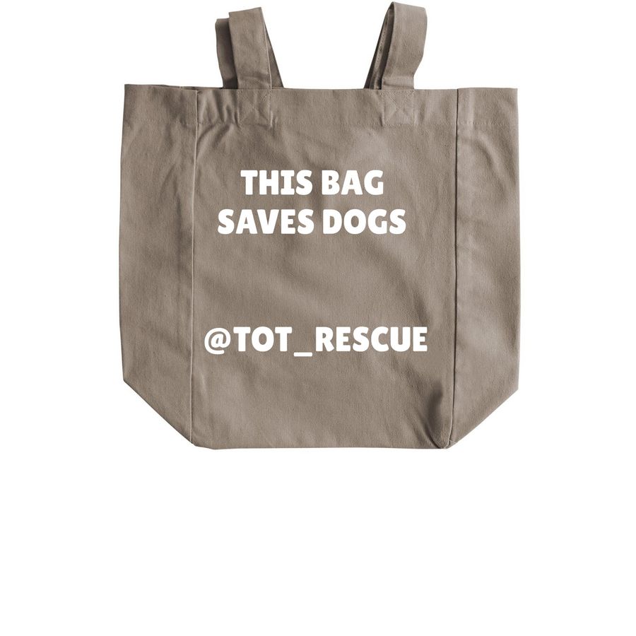 TOTR Tote, a Pumice Recycled Cotton Tote Bag (back-view)