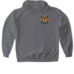 Honoring Lives, Supporting Futures, a Charcoal Gildan Softstyle Pullover Hoodie (back-view)