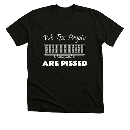 We The People&nbsp;, a Solid Black Blend Premium Unisex Tee