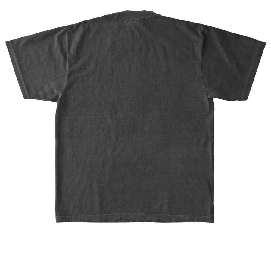 + CEDAR CHAIN +, a Shadow Heavyweight Garment Dye Tee (back-view)