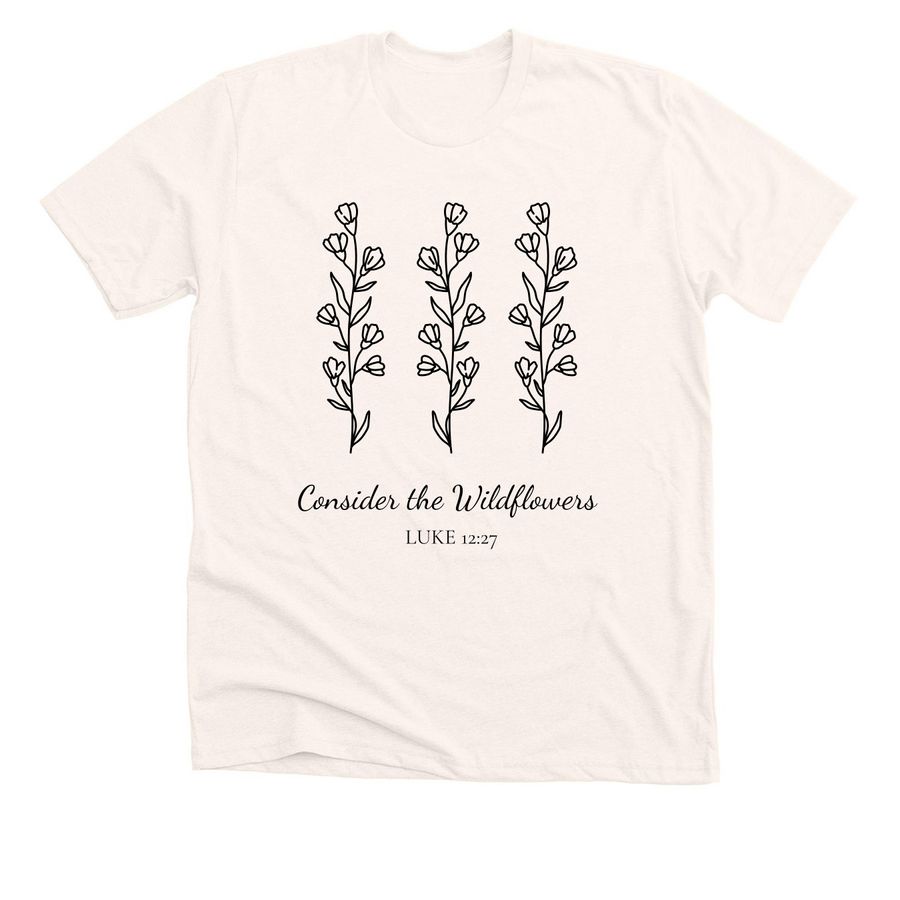 Evyn's Trip Fundraiser, a Heather Natural Premium Unisex Tee