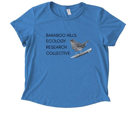 Field Season Fundraiser, a Azure Blue Allmade Eco Triblend Women?s Scoop Neck Tee