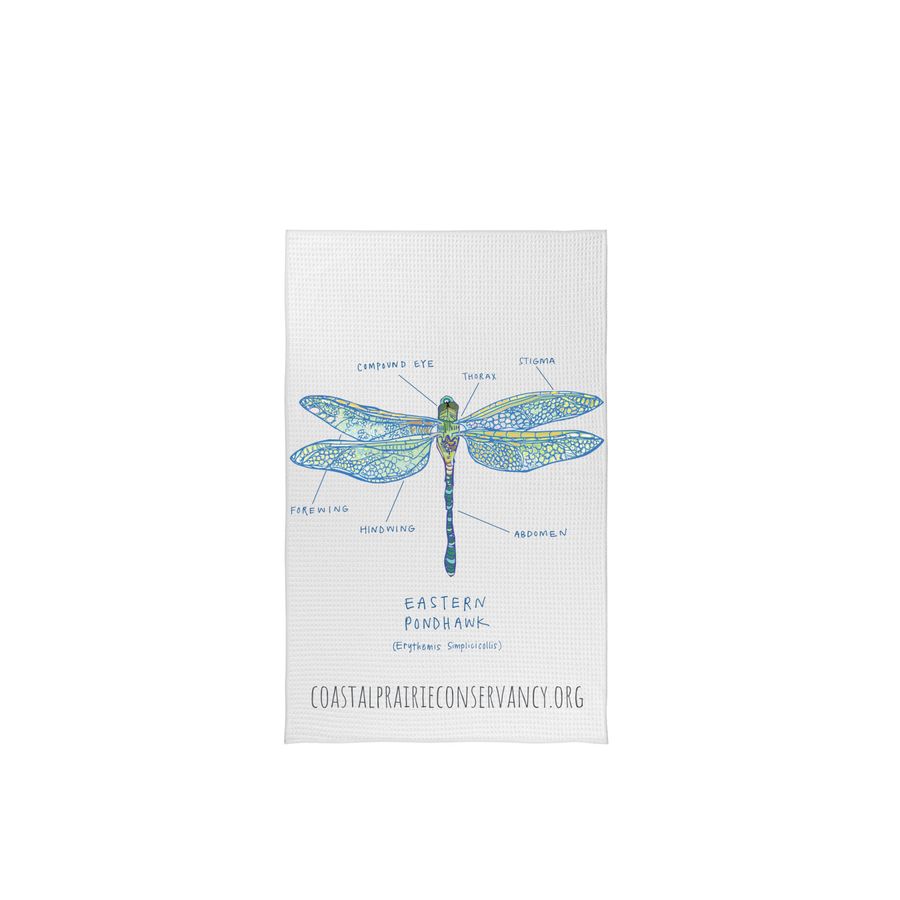 Limited Edition: Dragonfly Diagram, a White Tea Towel