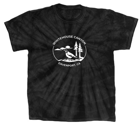 Whitehouse Canyon Road fund&nbsp;, a Black Classic Tie Dye Tee