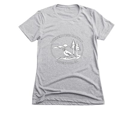 Whitehouse Canyon Road fund&nbsp;, a Dark Heather Grey Women's Slim Fit Tee