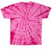 Dispatch & Control&nbsp;, a Pink Classic Tie Dye Tee (back-view)