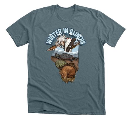 Winter in Illinois, a Heather Slate Premium Unisex Tee