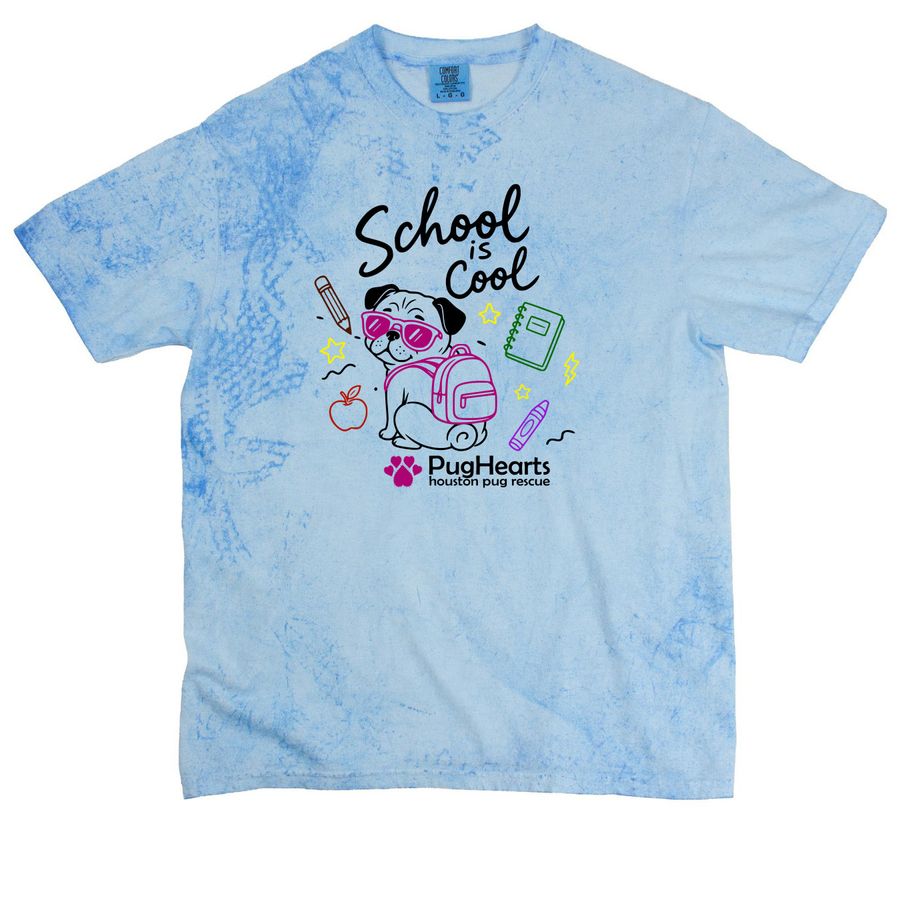 PH School is Cool, a Fiji Blue Comfort Colors Colorblast Tee