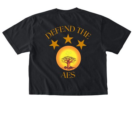 Defend The AES&nbsp;, a Black Comfort Colors Boxy Tee (back-view)