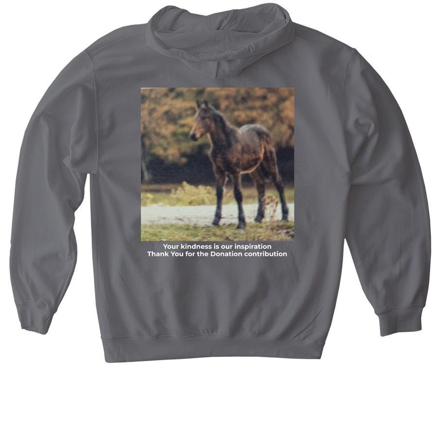 nonprofit animal rescue fundraiser, a Charcoal Gildan Softstyle Pullover Hoodie (back-view)