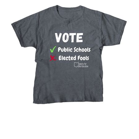 2026 Election Swag, a Dark Heather Youth Unisex Tee