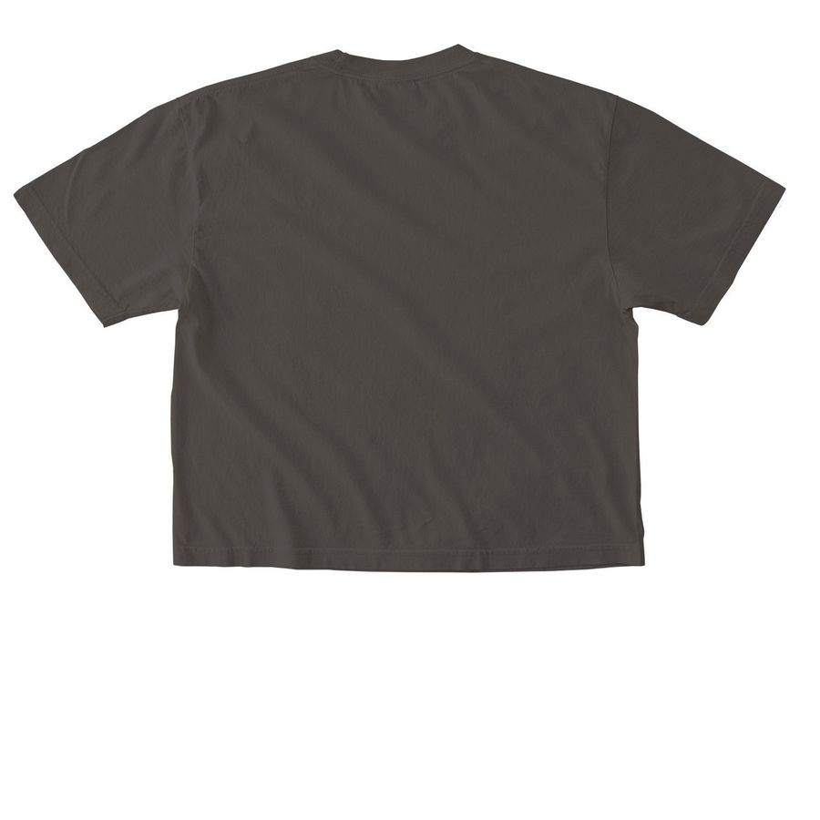 ATR Boxy Tees, a Pepper Comfort Colors Boxy Tee (back-view)