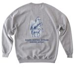 DITR Spirit Wear, a Sport Grey Softstyle Crewneck Sweatshirt (back-view)