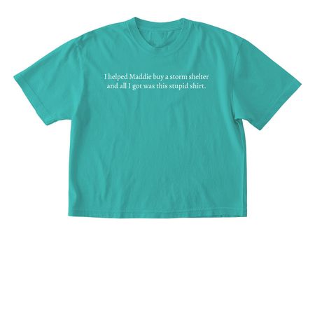 Stupid shirt., a Chalky Mint Comfort Colors Boxy Tee