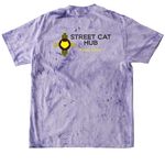SCH Pride 2026, a Amethyst Comfort Colors Colorblast Tee (back-view)