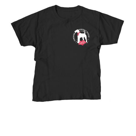 Sunshine Airedale Rescue Florida, a Black Youth Unisex Tee