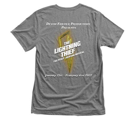 Normal is a Myth!, a Premium Heather Triblend Unisex Tee (back-view)