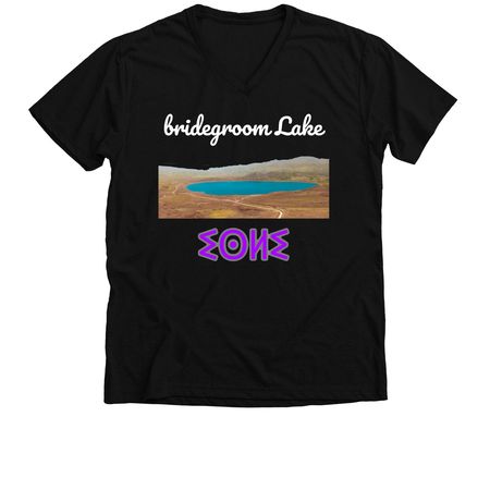 T-shirt&nbsp;bridegroom&nbsp;Lake (isli), a Solid Black Blend Premium V-Neck Tee
