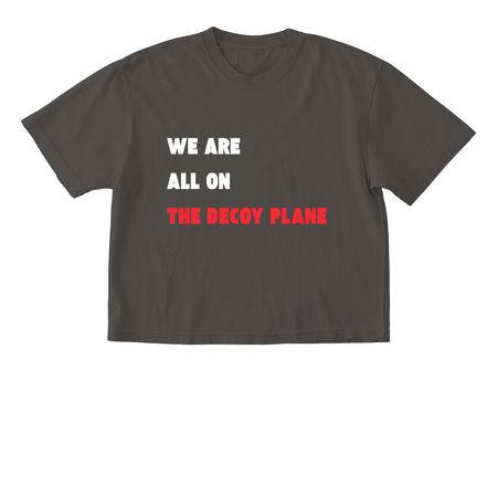 We are ALL on the decoy plane, a Pepper Comfort Colors Boxy Tee