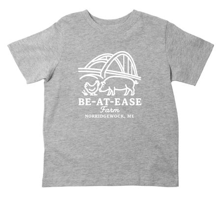 Toddler Sizes, a Heather Toddler Tee