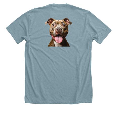 Derp Mode Activated - Pitbull, a Heather Blue Lagoon Premium Unisex Tee