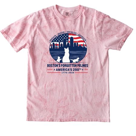 America's 250th Birthday, a Clay Comfort Colors Colorblast Tee