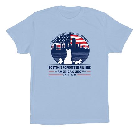 America's 250th Birthday, a Baby Blue Premium Cotton Tee