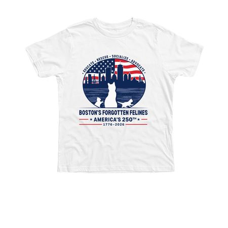 America's 250th Birthday, a Solid White Blend Premium Youth Tee