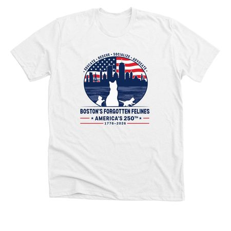 America's 250th Birthday, a Solid White Blend Premium Unisex Tee