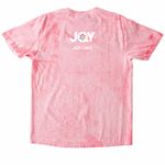Hashem Is All Genders, a Hibiscus Comfort Colors Colorblast Tee (back-view)