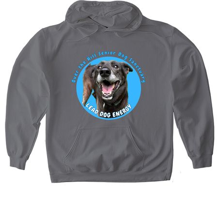 Help Hobo Heal!, a Charcoal Gildan Softstyle Pullover Hoodie