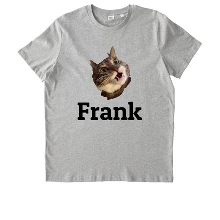 Frank, a Heather Grey Stanley/Stella Unisex Crafter Tee