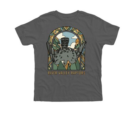 Summer Sun: Peregrine Falcon, a Asphalt Premium Cotton Youth Tee