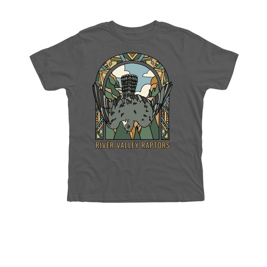 Summer Sun: Peregrine Falcon, a Asphalt Premium Cotton Youth Tee