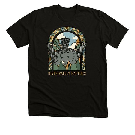 Summer Sun: Peregrine Falcon, a Black Heather Premium Unisex Tee