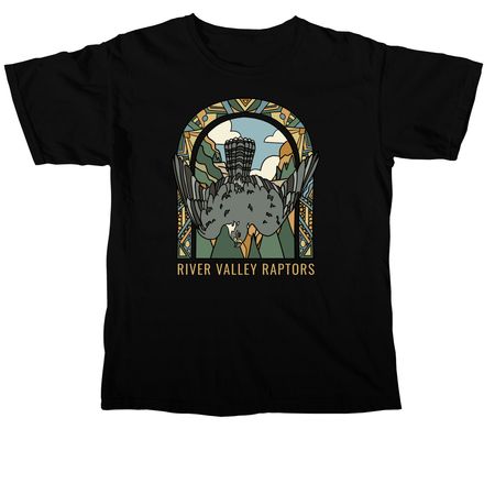 Summer Sun: Peregrine Falcon, a Black Comfort Colors Unisex Tee