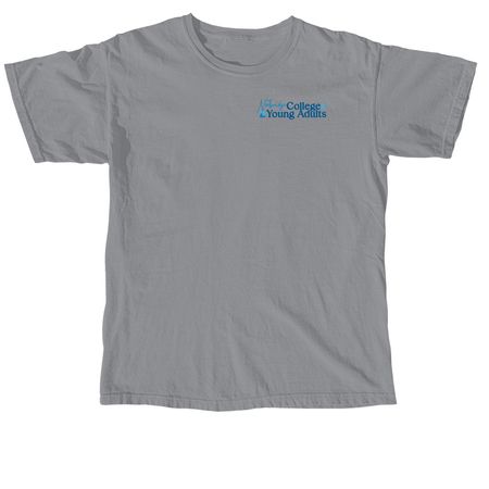 Idea #2 T shirts, a Granite Comfort Colors Unisex Tee