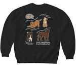 Five Freedoms X Meredith Canty, a Black Softstyle Crewneck Sweatshirt (back-view)