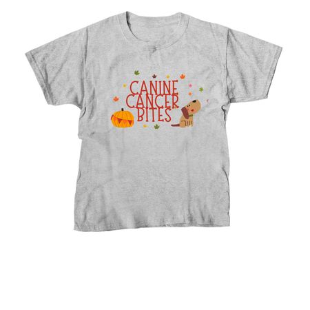 Fall CCB, a Sport Grey Youth Unisex Tee