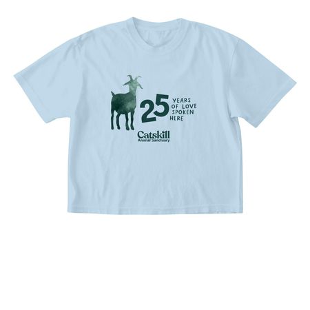25th Anniversary CAS, a Chambray Comfort Colors Boxy Tee