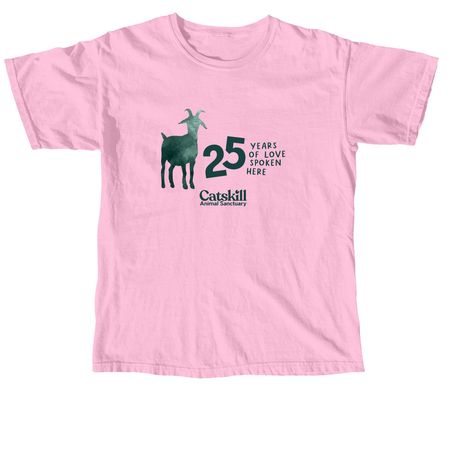 25th Anniversary CAS, a Blossom Comfort Colors Unisex Tee