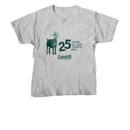 25th Anniversary CAS, a Sport Grey Youth Unisex Tee