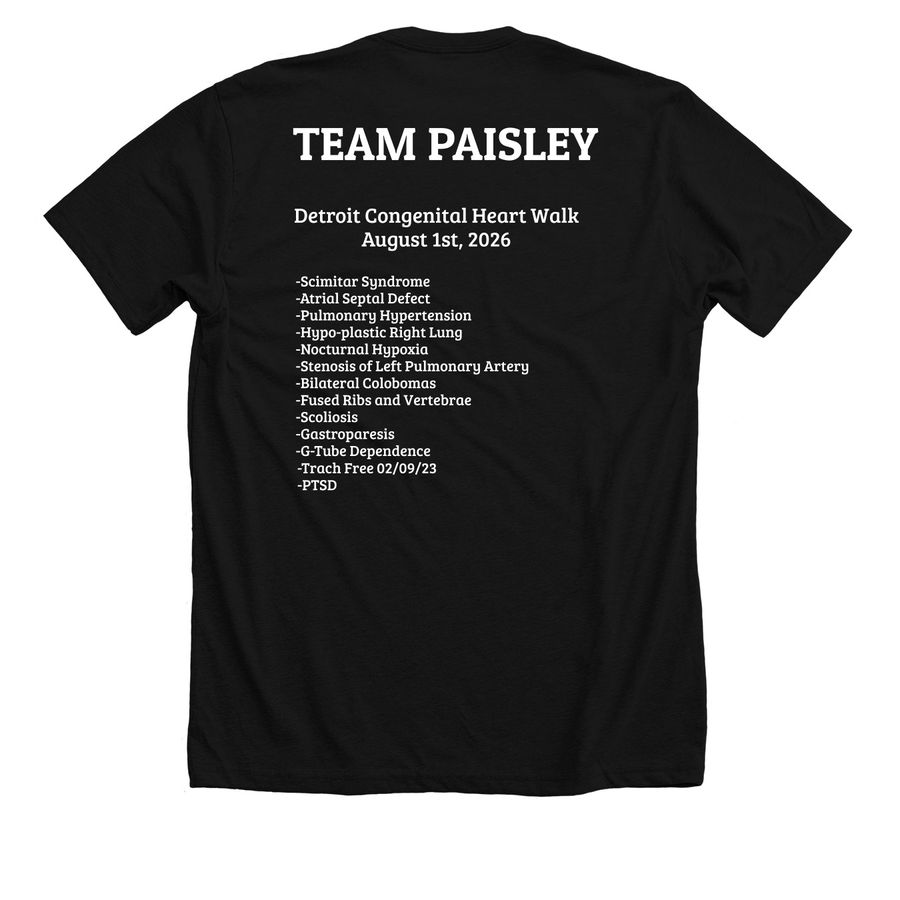 Team Paisley 2026, a Solid Black Blend Premium Unisex Tee (back-view)