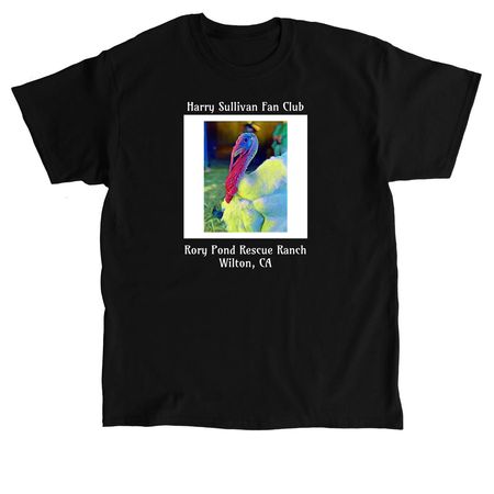 Harry Sullivan, a Black Classic Unisex Tee