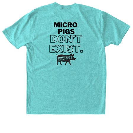 Double sided statement tee, a Tahiti Blue Triblend Unisex Tee (back-view)