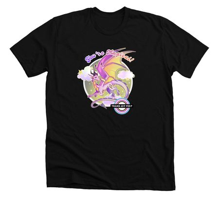 5th annual Trans Joy Fest- Demigender Design, a Solid Black Blend Premium Unisex Tee
