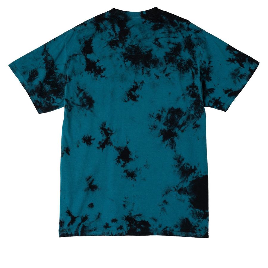 WPtHA Forward Together, a Black/ Teal Crystal Tie Dye Tee (back-view)