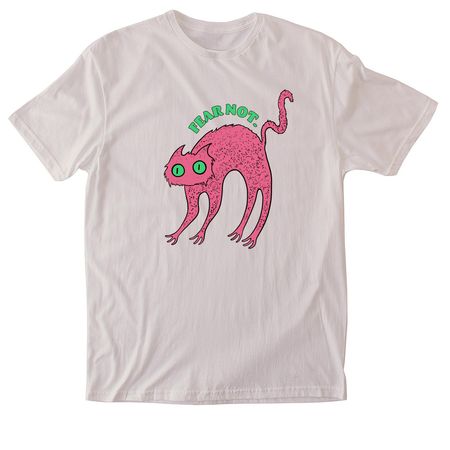 Fear Not Tee, a Ice Grey Softstyle Cotton Tee