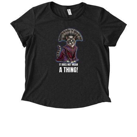 It does not mean A THING!, a Space Black Allmade Eco Triblend Women?s Scoop Neck Tee